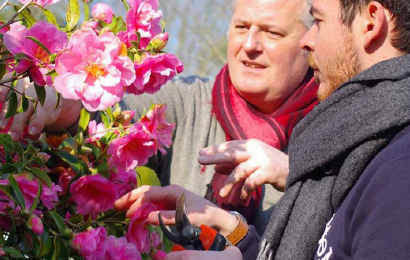 Cours de jardinage