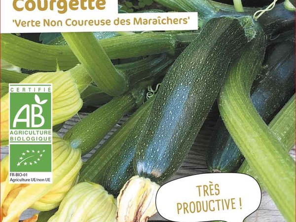 Courgette Verte Non Coureuse des Maraîchers