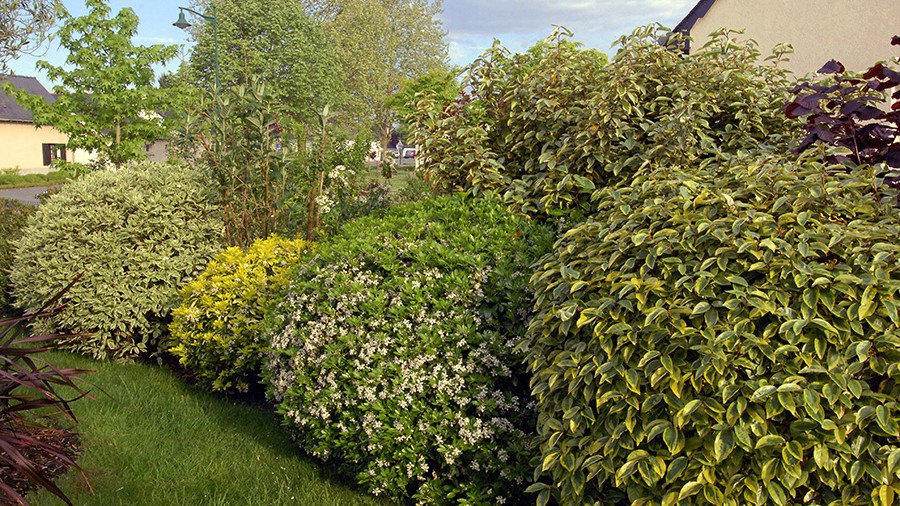 jardin au retour des vacances jardin au retour des vacances