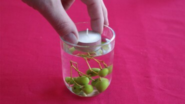 Photophore végétal 3