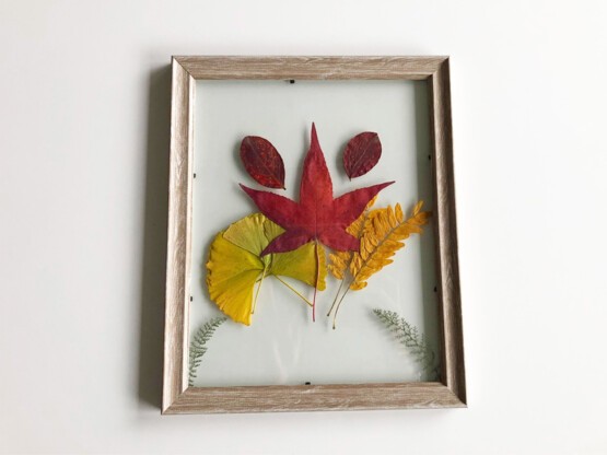 Cadre herbier étape 5