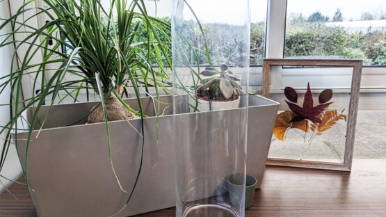 Arbre de Noël lumineux fait maison - Etape 2