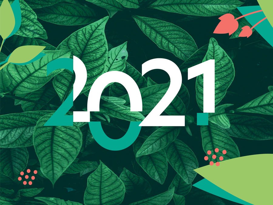 LES 7 BONNES RESOLUTIONS DU COACH POUR LE JARDIN EN 2021