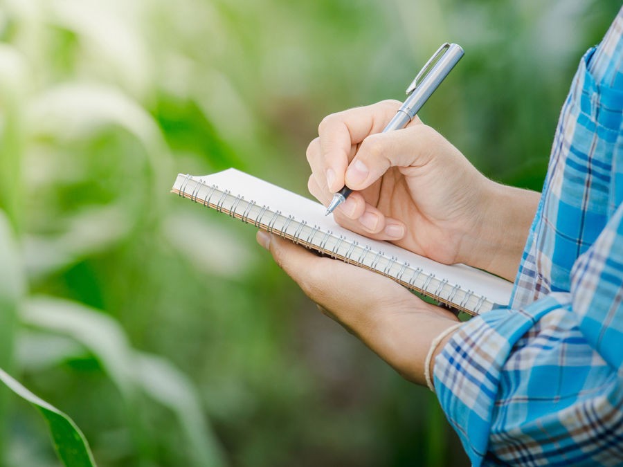 PAR OU COMMENCER POUR AMENAGER VOTRE JARDIN ?