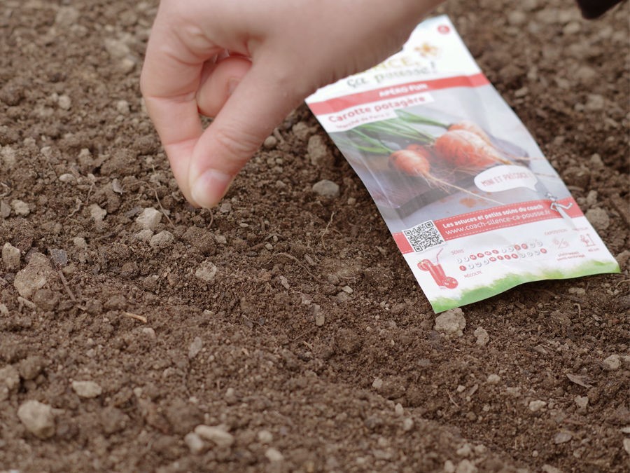 PREMIERS SEMIS AU POTAGER : C'EST LE MOMENT !