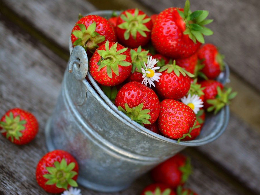 ET SI VOUS PLANTIEZ DES FRAISIERS ?