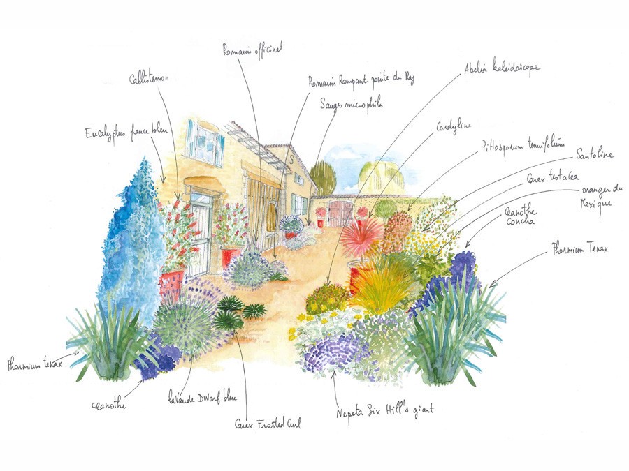 dessin tridome avec explications