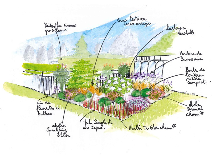 Dessin massif Lucile