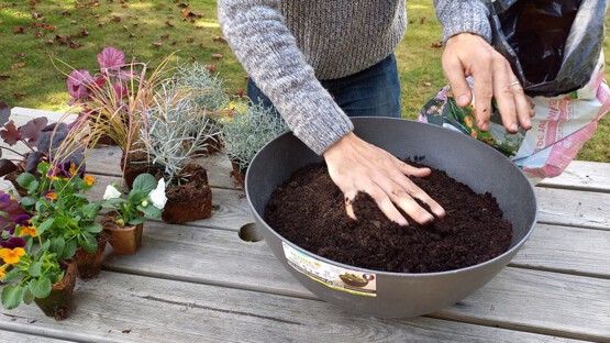 Remplir le pot avec du terreau