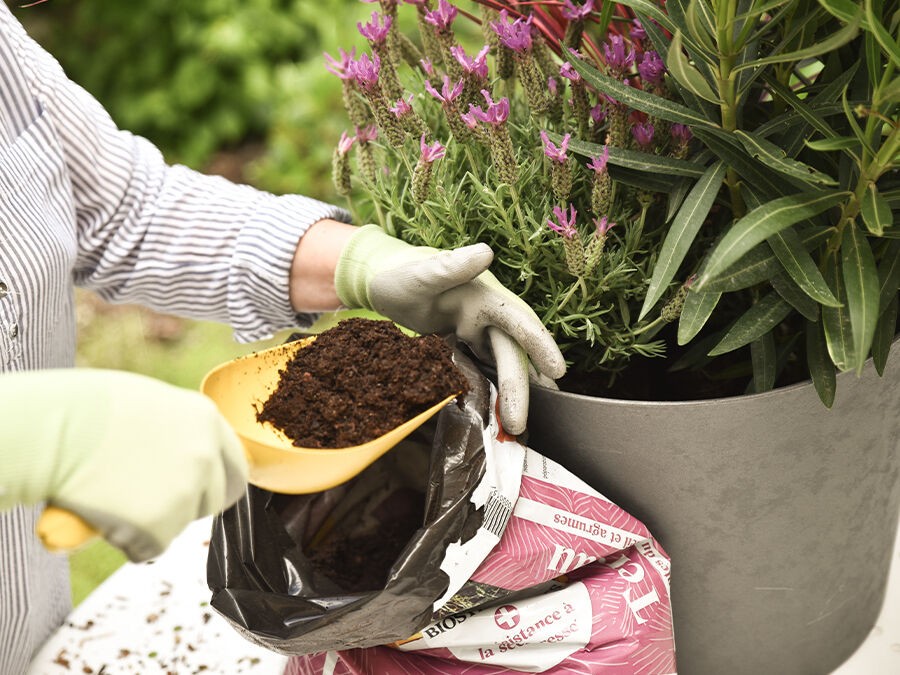 Pour nos jardiniers 