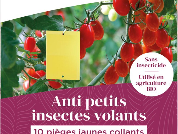 10 pièges jaunes collants