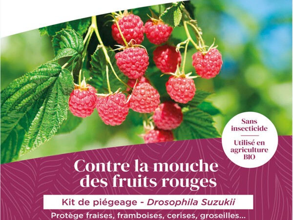 KIT de piegeage drosophila suzukii