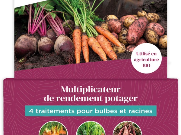 4 traitements pour bulbes et racines