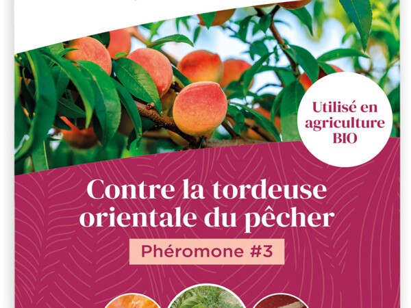 Phéromone #3 contre la tordeuse orientale du pêcher