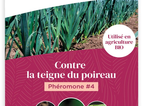 Phéromone #4 contre la teigne du poireau