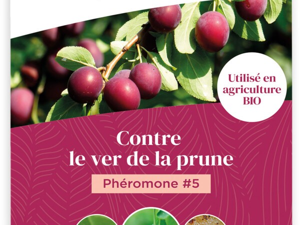 Phéromone #5 contre le ver de la prune