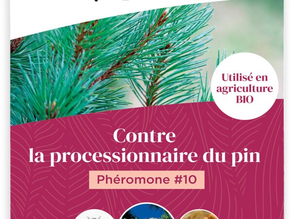 Phéromone #10 contre la processionnaire du pin