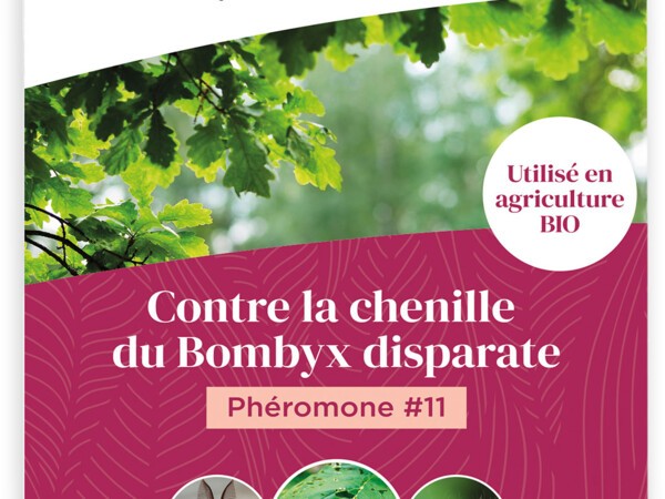Phéromone #11contre la chenille du Bombyx disparate