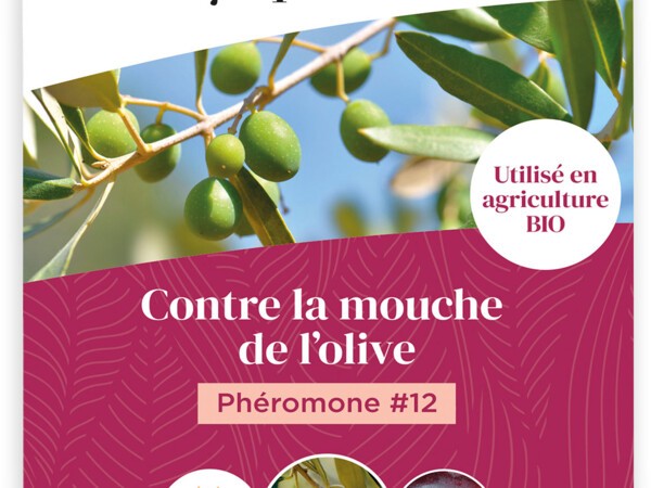Phéromone #12 Kit de piégeage contre la mouche de l'olive