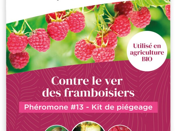 Phéromone #13 Kit de piégeage contre le vers des framboisiers