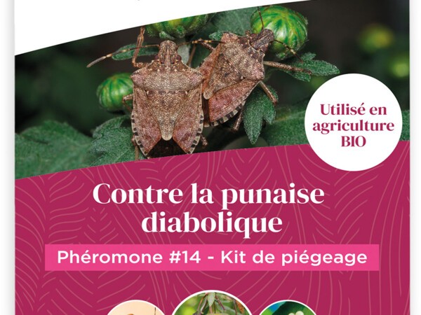 Phéromone #14 kit de piégeage contre la Punaise Diabolique