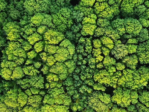 TEST POST MV BROUILLON