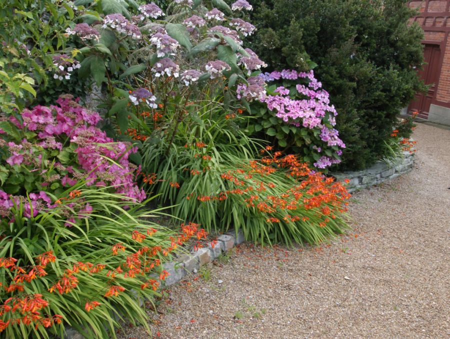 QUE PLANTER DANS UNE BORDURE DE JARDIN ?